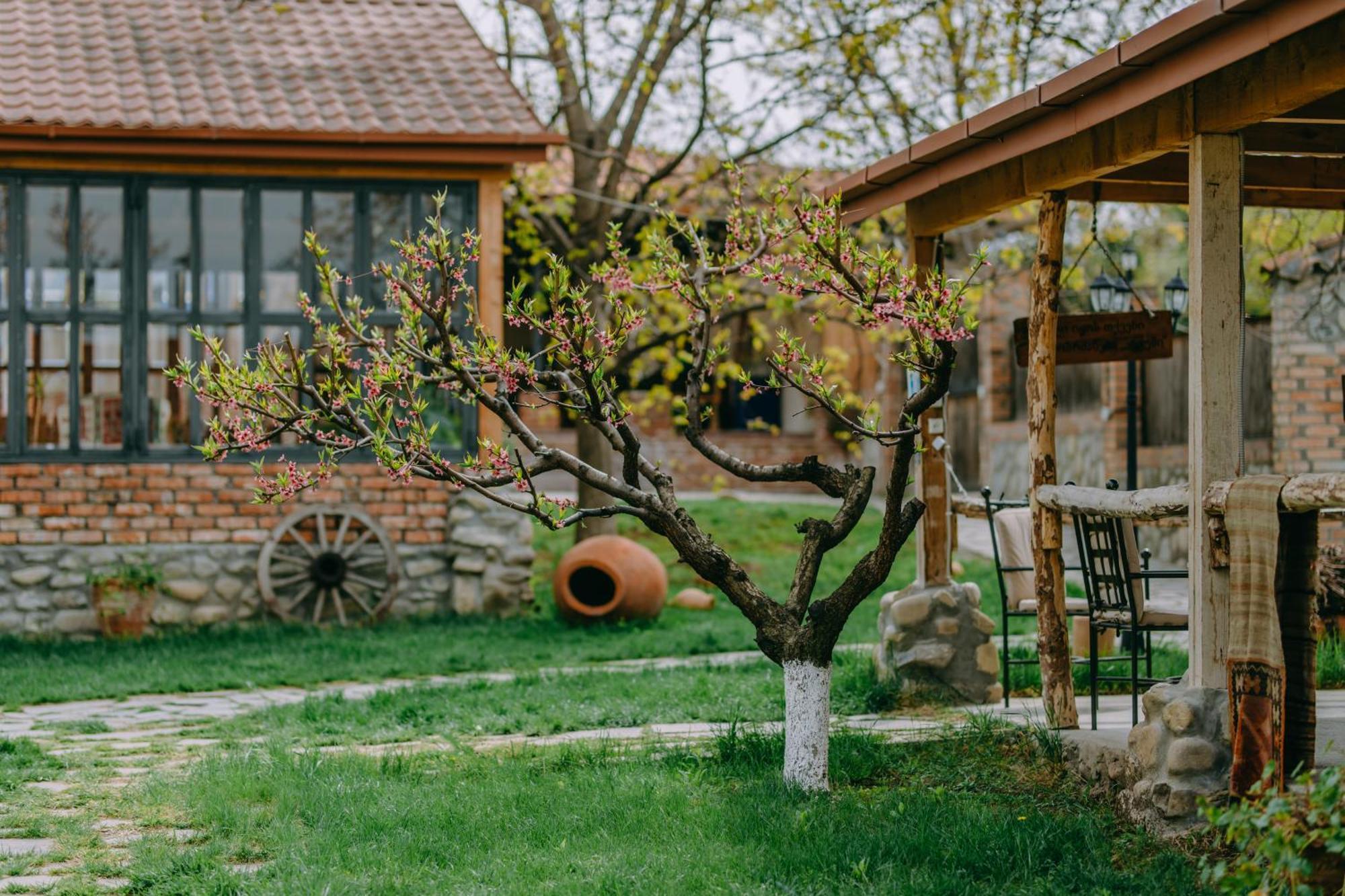Hotel & Wine Cellar Arge Telavi Ngoại thất bức ảnh
